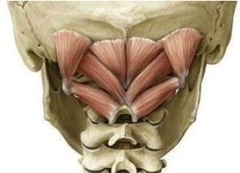 The deeply muscles of the neck holding the snatch in the wrong position